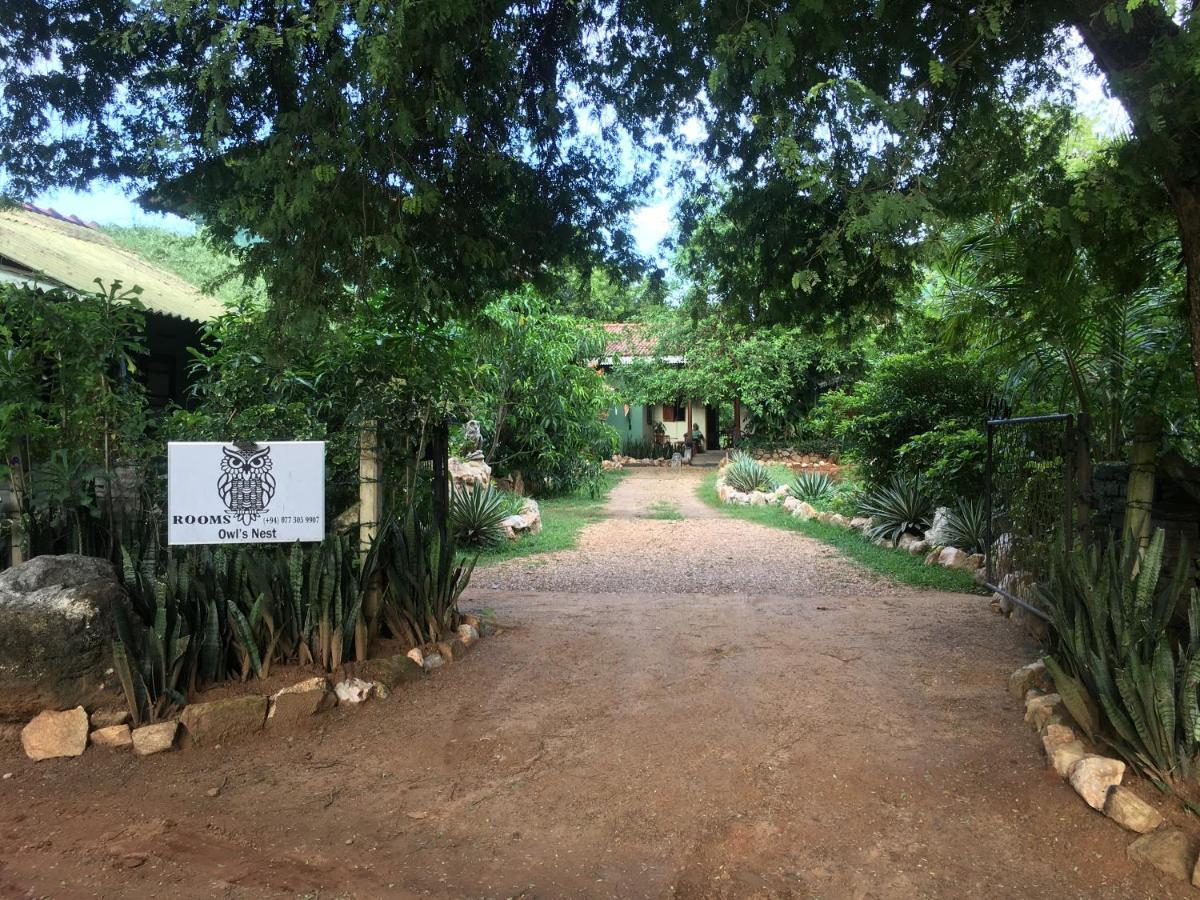 Hotel Owls Nest Udawalawe Exterior foto